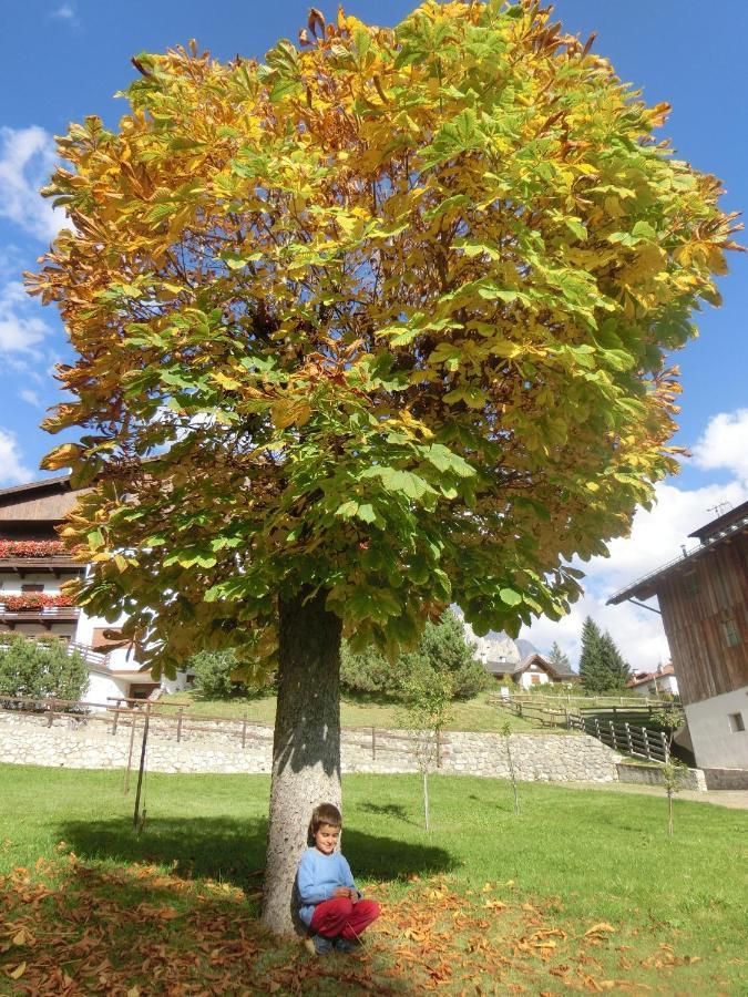 Partel Loudge Appartamento Cortina dʼAmpezzo Esterno foto