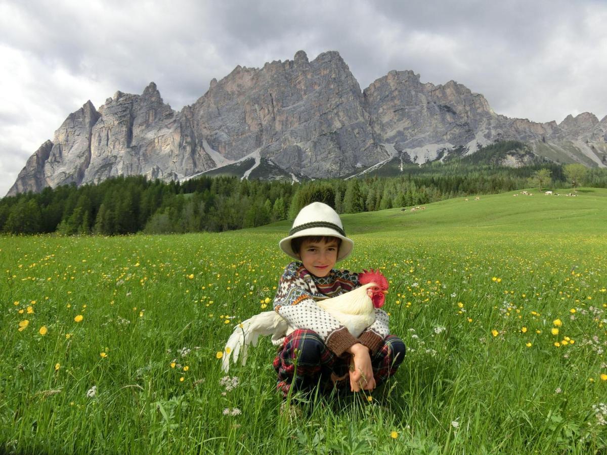 Partel Loudge Appartamento Cortina dʼAmpezzo Esterno foto