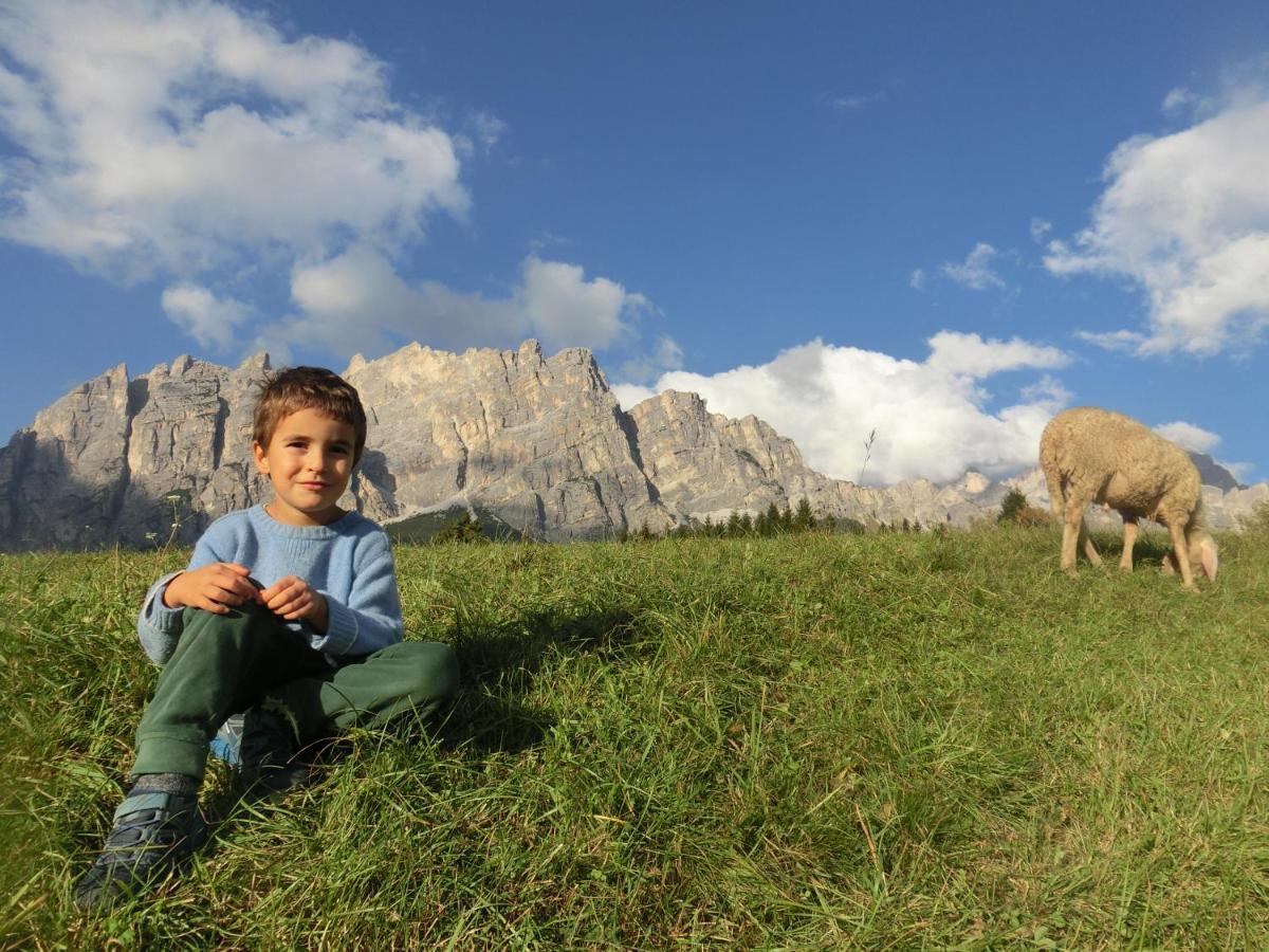 Partel Loudge Appartamento Cortina dʼAmpezzo Esterno foto